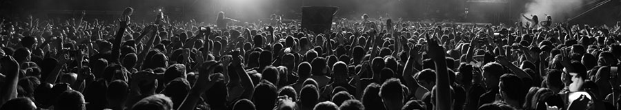Concerts, Festivals